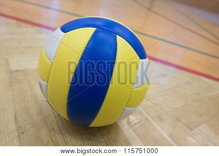 The tailor volleyball in the school gym