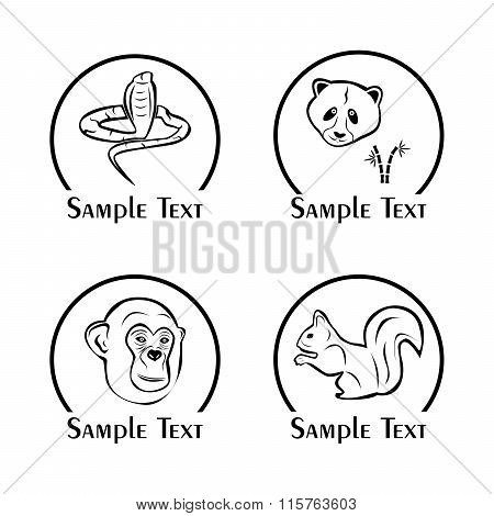 Different Animals Set