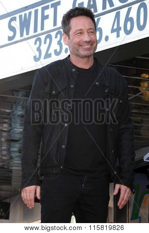 LOS ANGELES - JAN 25:  David Duchovny at the David Duchovny Hollywood Walk of Fame Star Ceremony at the Fox Theater on January 25, 2016 in Los Angeles, CA