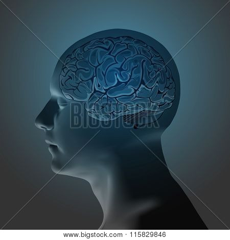 Abstract Human Head with a Brain.