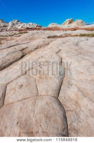 White Pocker, Arizona