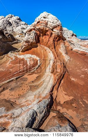 White Pocker, Arizona