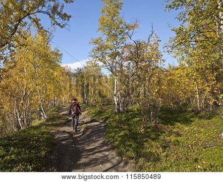 LAPLAND, SWEDEN ON SEPTEMBER 13