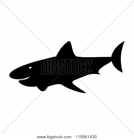 Fish Shark