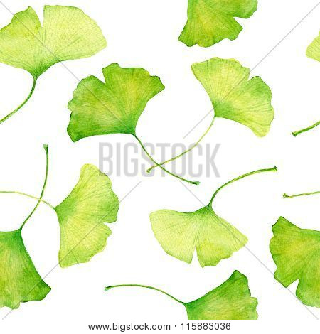 Ginkgo leaves pattern. Watercolor