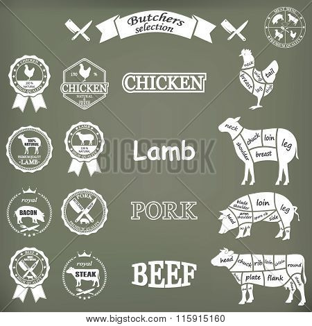 Vector Diagram Cut Carcasses Of Chicken, Pig, Cow, Lamb.