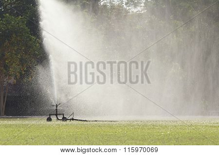Sprinkler Head Watering The Grass