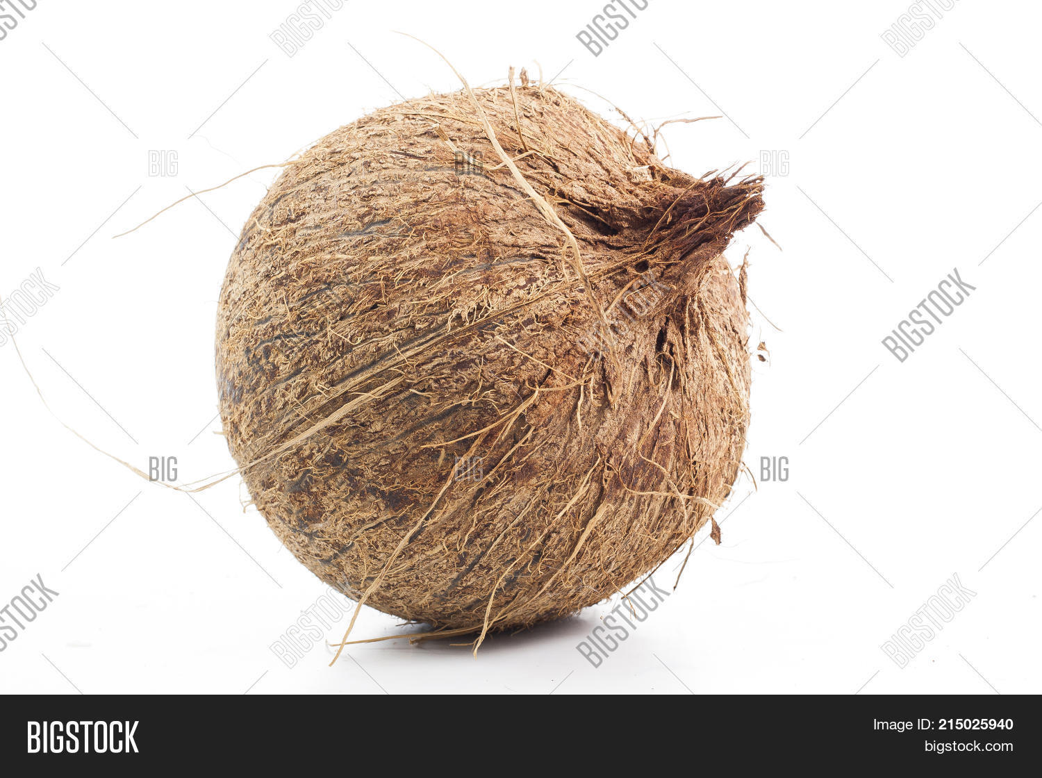Whole Hairy Coconut Image & Photo (Free Trial) Bigstock