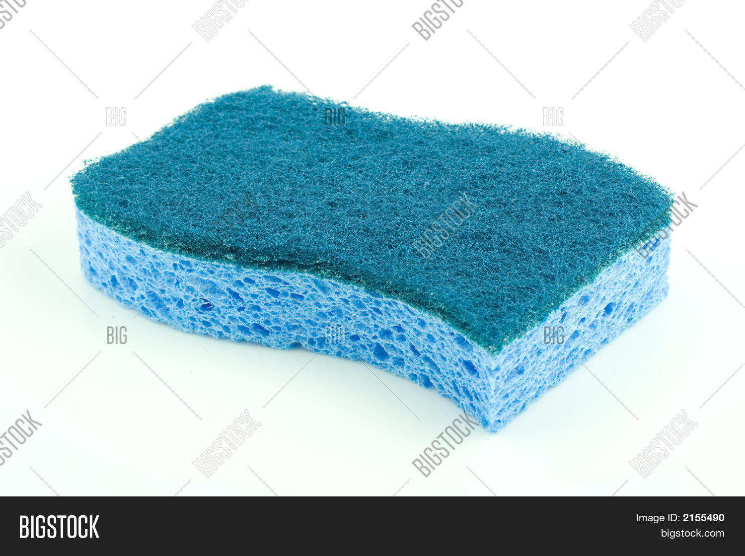 синяя губка. байкальские корковые «голубые» губки. голубая губка. голубая губка заболевание. синяя губка.