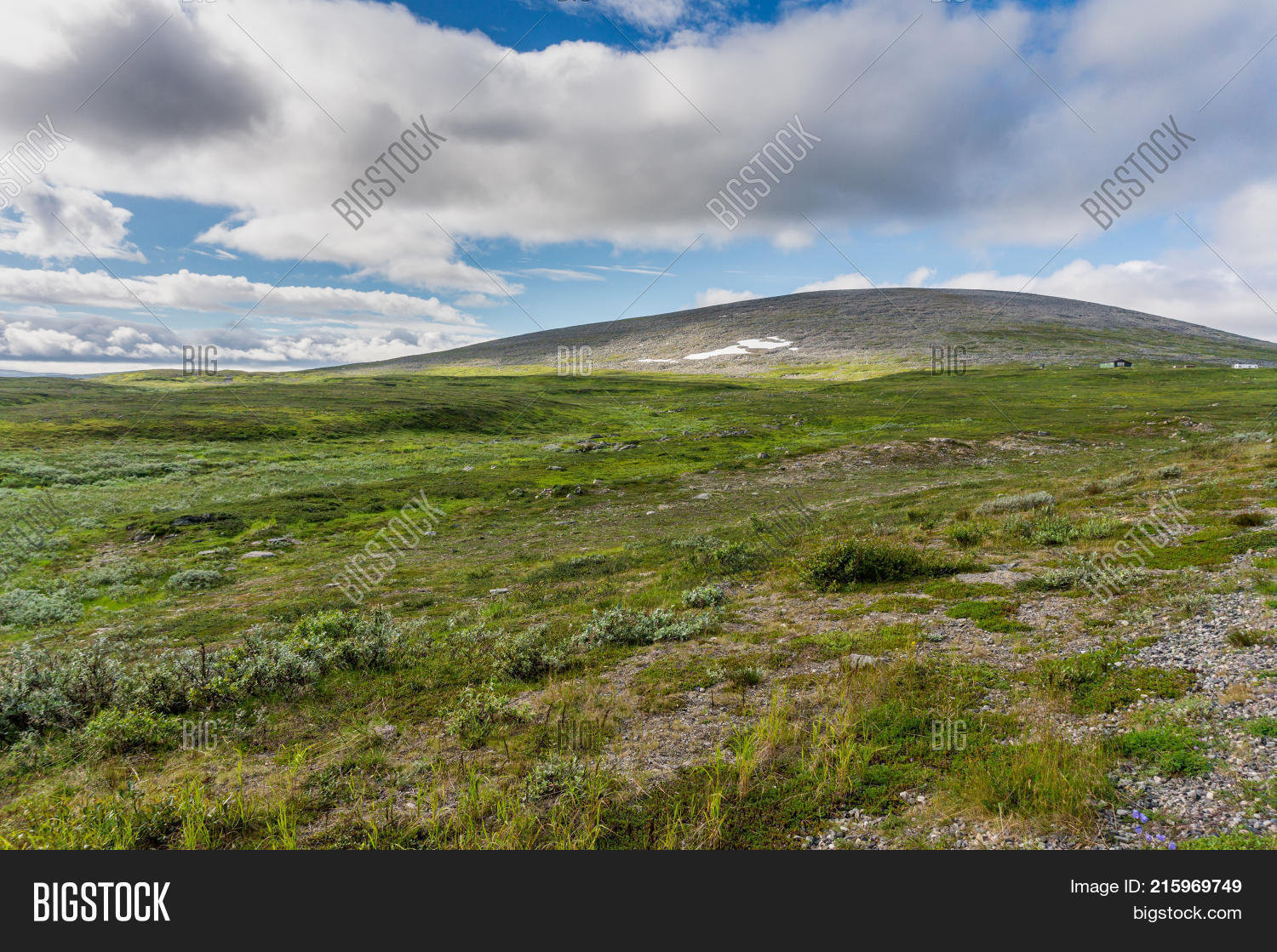 tundra characteristic