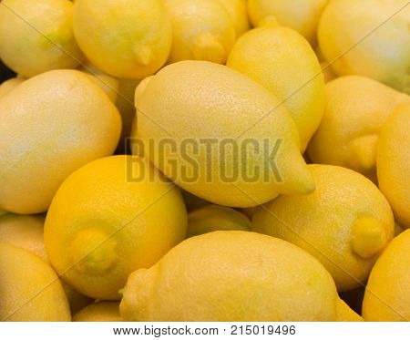 Lots of Fresh yellow lemons large closeup close