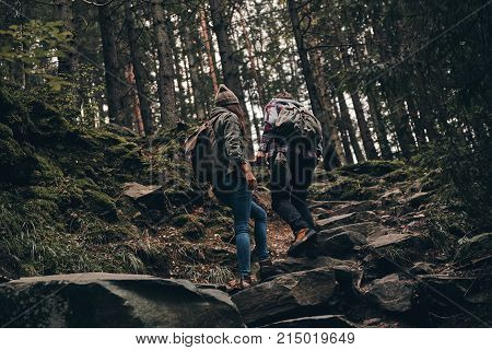 Exploring the nature. Full length rear view of young couple moving up while hiking together in the woods