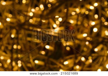 Abstract bokeh  light decoration  on tree  background