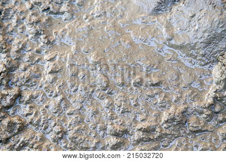 Background of the fresh cement solution . Photo of an abstract texture