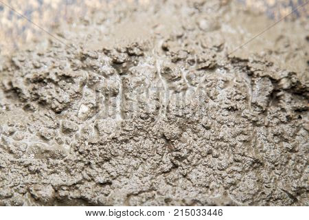 Background of the fresh cement solution . Photo of an abstract texture