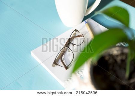 Coffee notebook plant and glases on a blue wooden table on a sunny day