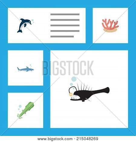 Flat Icon Sea Set Of Algae, Fish, Playful Fish And Other Vector Objects