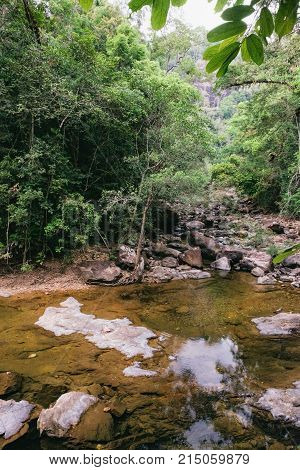 Small mountain stream in the shade of the tropical forest with snag tree in the foreground Mu Koh Chang National Park, Chang island, Thailand. Path to the Khlong Phlu waterfall. Natural background.