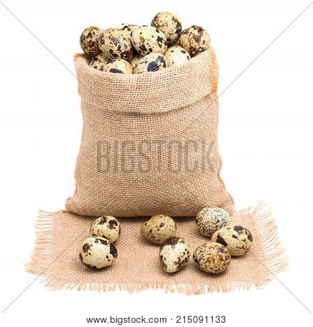 Sack bag with group of quail egg close up on texture sack with frayed edges isolated on white background