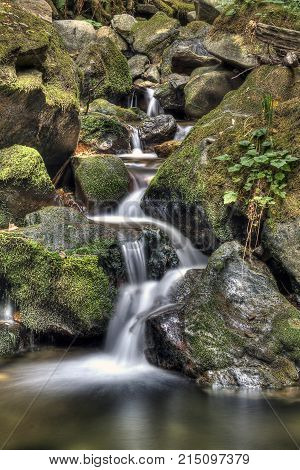 A water fall near Bellingham, WA, flows into a pool.