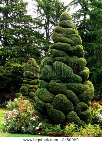 Arbre Topiaire