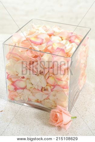 Close up of pink rose petails in vase