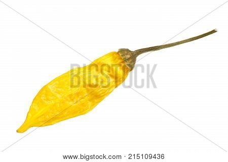 Dried Aji Limon Pepper C. Baccatum, Top, Paths