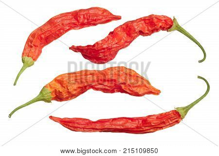 Dried Aji Wundertute Peppers C Baccatum, Top, Paths