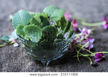 Trachyspermum Ammi Leaves In A Glass Bowl.