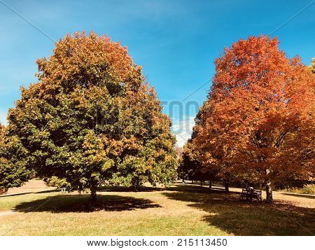 Cute three in the spring - amazing color for nature