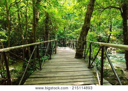 Wooden Bridge Among Beautiful Nature With Lake And Many Green Tree On Both Sides. This Image For For