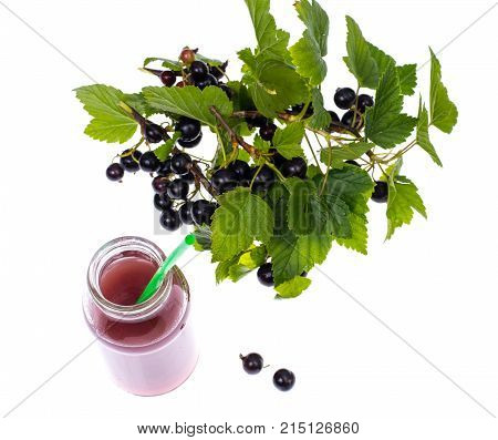 Fresh juice from black berries in glass bottle on white background. Studio Photo