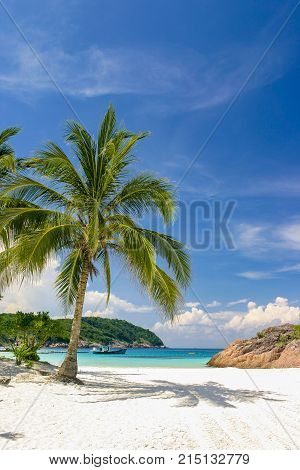 Beautiful tropical blue green lagoon surrounded with the condense jungle in Malaysia unknown from mass tourism