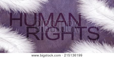 Human Rights White Feathers of Peace - against a rustic purple stone background lay four fluffy white feathers in the corners and the words HUMAN RIGHTS placed centrally