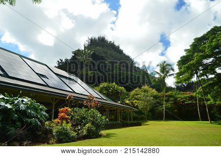 Jungle Along A Great Mountain. Oahu Hawaii USA EEUU.