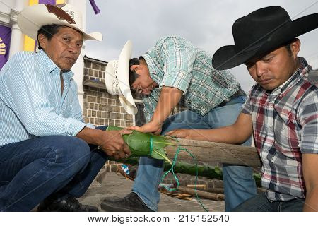 March 25, 2016 San Pedro la Laguna, Guatemala: mayan men tying green leafs on wooden pole for decoration during Easter celebration