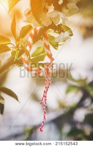 Martenitsa traditional Bulgarian symbol give away with wishes for health and welfare with golden glow from the sun