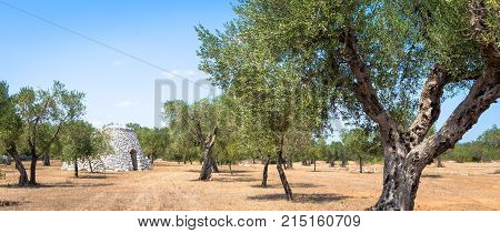 Puglia Region, Italy. Traditional Warehouse Made Of Stone