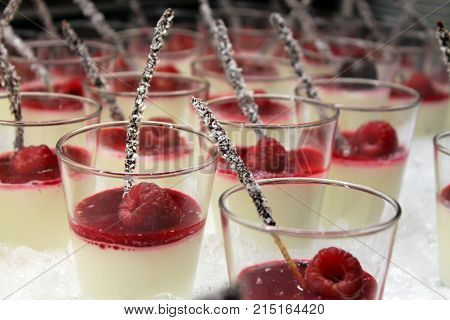 Dessert background. Close up of Panna Cotta Dessert With Forest Fruits.