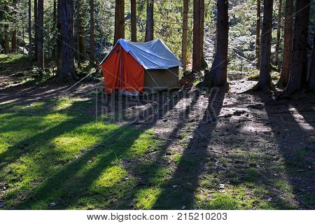 Tent in the coniferous forest in the foothills Carpathian Ukraine. Large space for writing