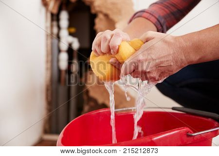 Woman wringing water out of a sponge into a bucket, detail