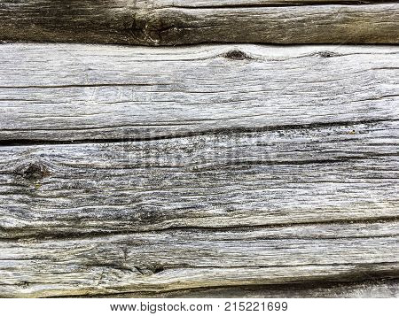 old tree background, part of a barn 