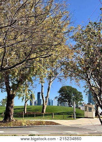 Street with some trees and high buildings in background