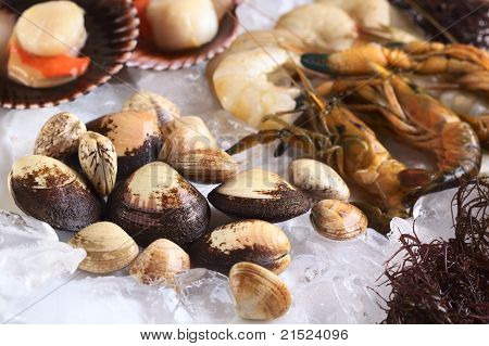 Roh Muscheln und andere Meeresfrüchte auf Eis