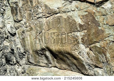Ancient Petroglyphs Rock Carvings On Stones. Altai Republic, Russia