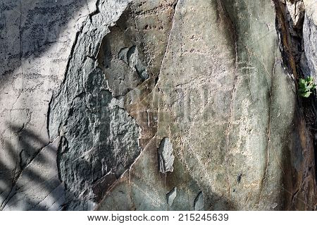 Ancient Petroglyphs Rock Carvings On Stones. Altai Republic, Russia