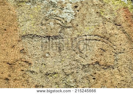 Ancient Petroglyphs Rock Carvings On Stones. Altai Republic, Russia
