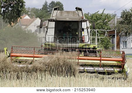 Modern combine harvester cutting crops oilseed rape.