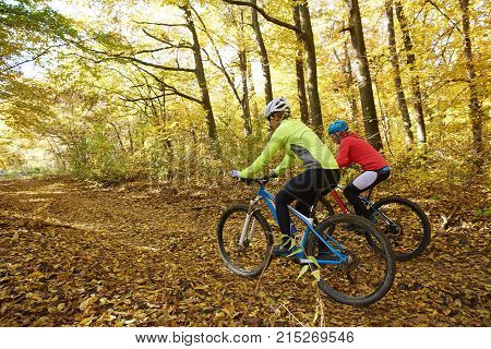 Women Biking Together Images, Illustrations, Vectors - Women Biking