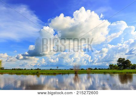 Beautiful atmosphere of rice field in Thailand.